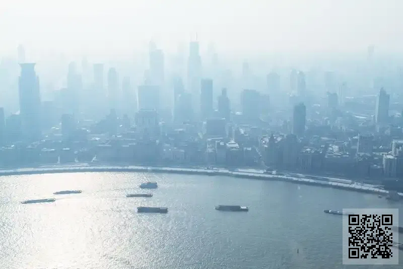 秀婷(香港)有限公司