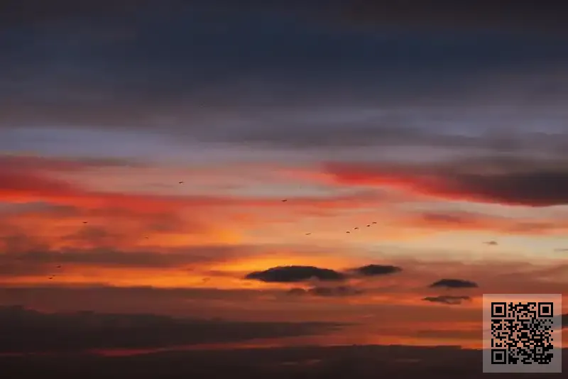 地德國際有限公司