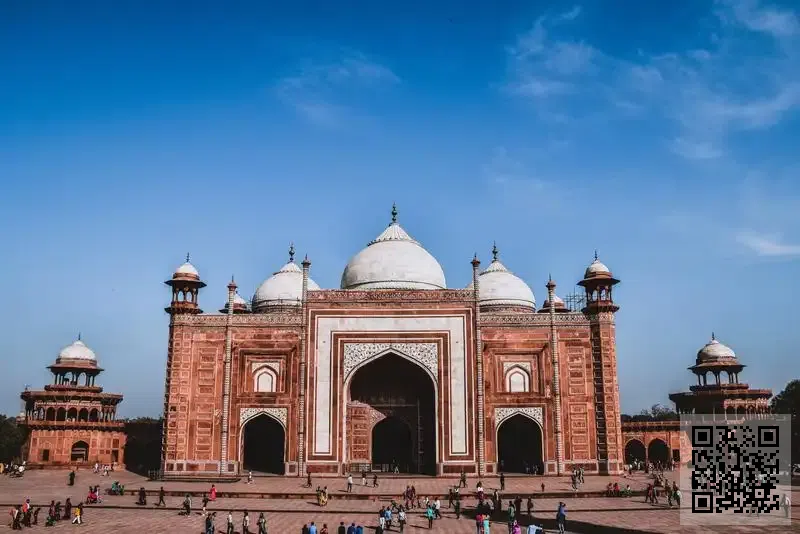 迪菲亞實業有限公司