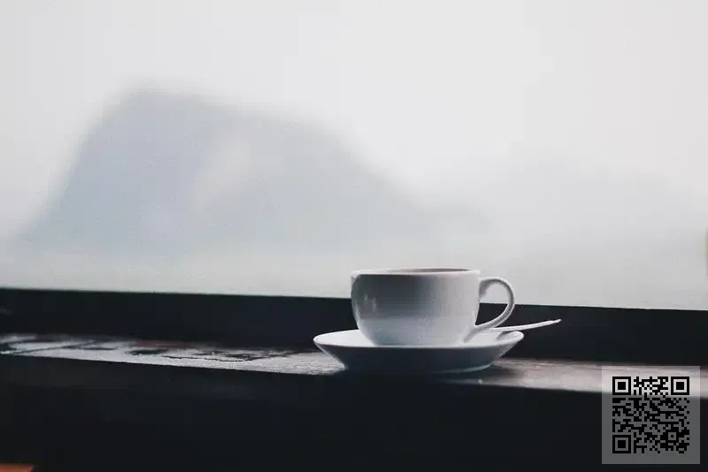 香港德星閥門集團有限公司