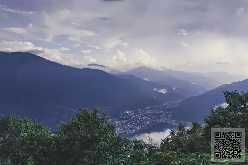 博興投資有限公司