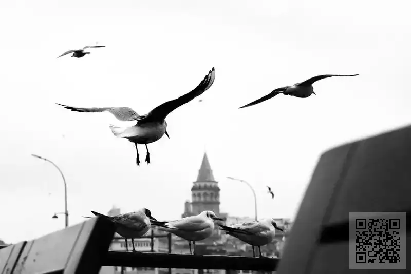 通和(亞洲)控股有限公司