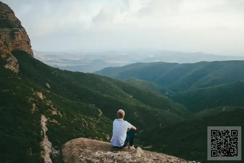 CURRY CULTURE LIMITED