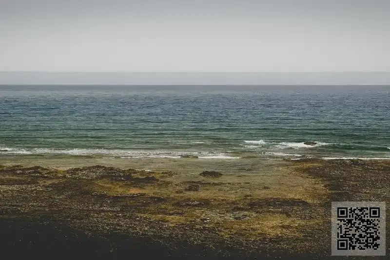 香港興華揚電子科技有限公司