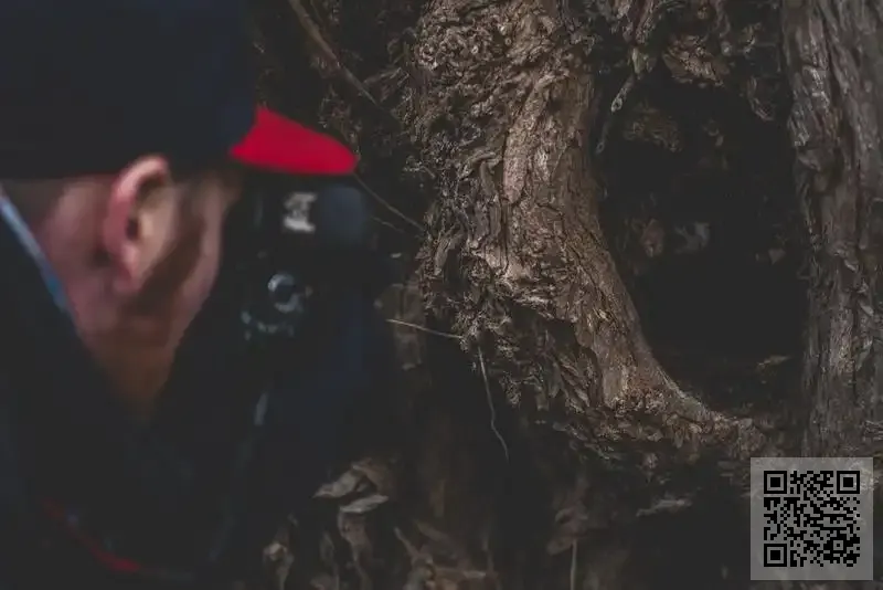 天稟策劃管理有限公司