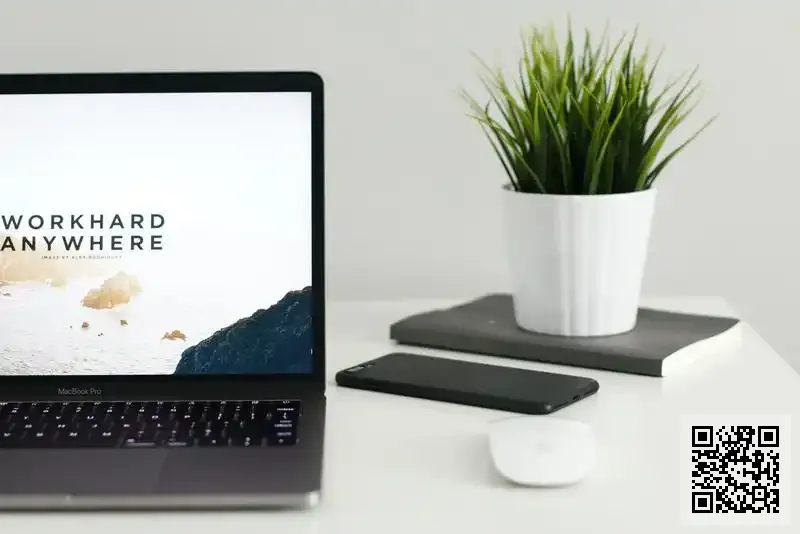 香港永利來因私出入境服務有限公司