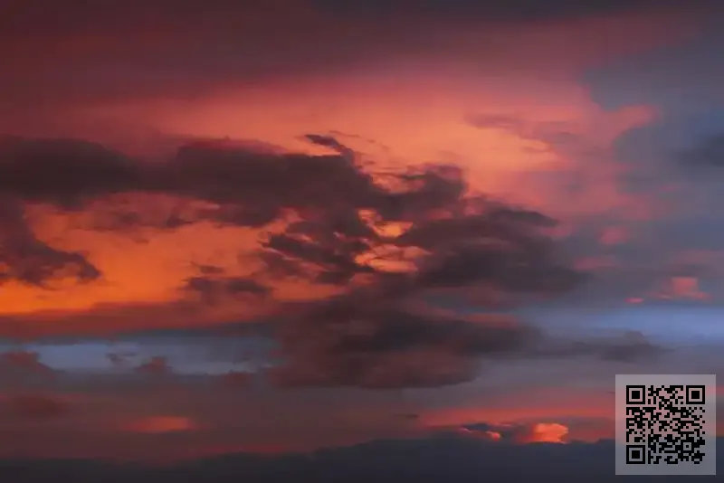 SUNSHINE DAY WINES & SPIRITS LIMITED