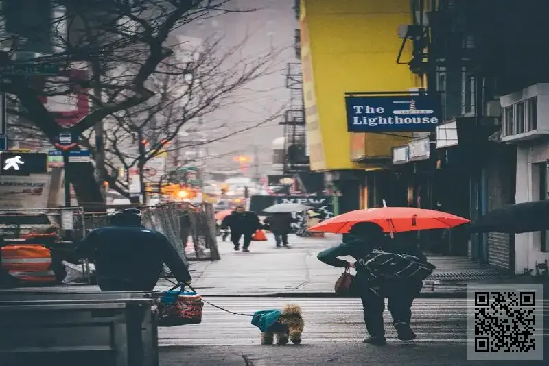 雨琪國際實業有限公司