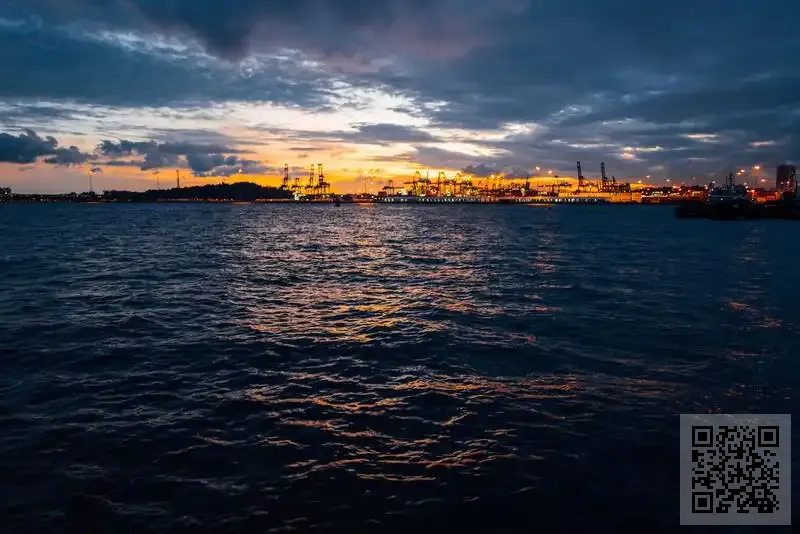 奧力科技(香港)有限公司