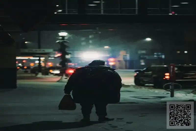 辰日控股有限公司