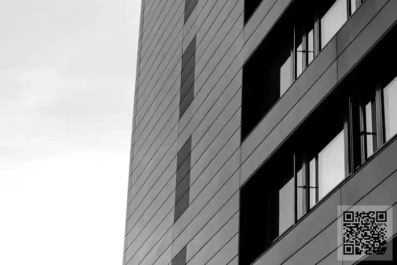 奇麗電子有限公司