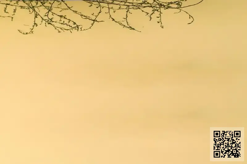 德隆卓能科技有限公司