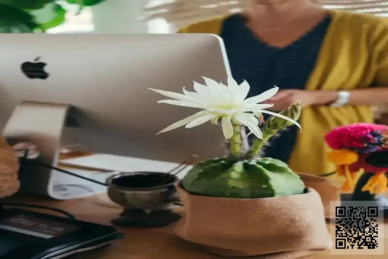 科利得國際有限公司