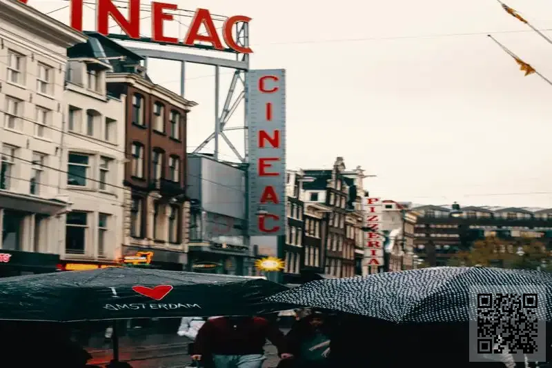 金髮國際香港有限公司