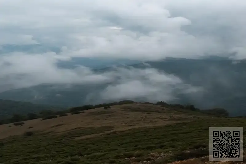 GNDM INTERNATIONAL LIMITED