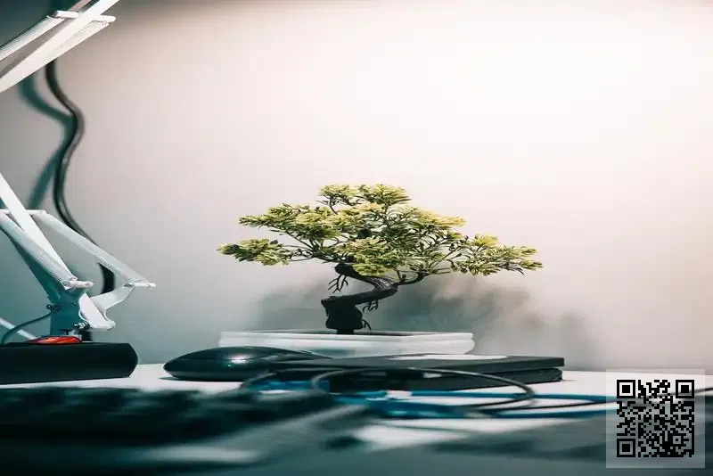 宏吉(香港)有限公司