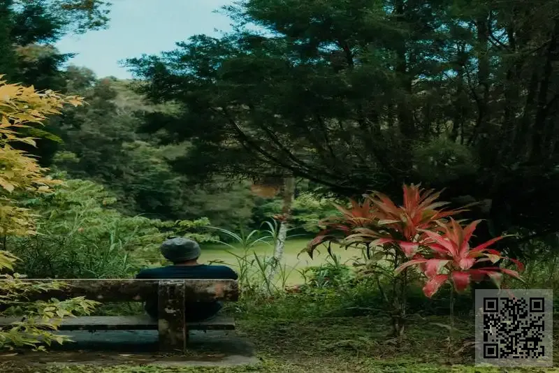 Bismillah Holdings Limited