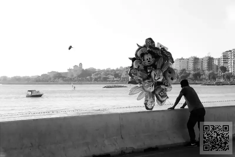 Schweitzer Asia Limited