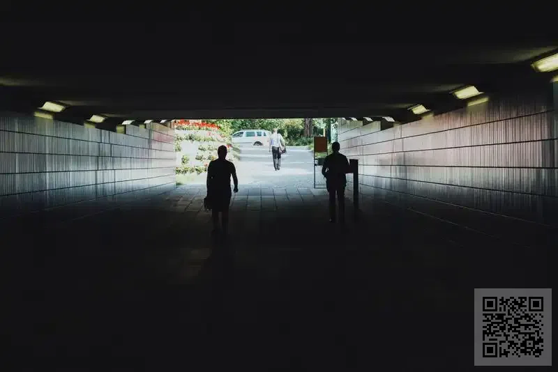 東金鴻(香港)貿易國際有限公司