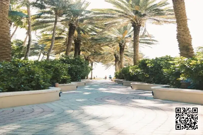 PEGASUS TRANSPORT (HONG KONG) CO., LIMITED