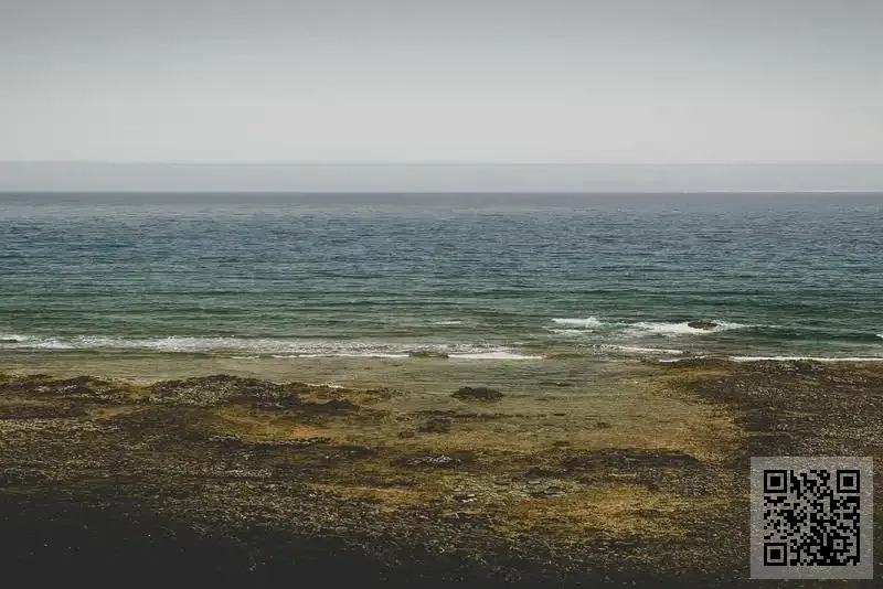 德國易涵寶馬服飾有限公司