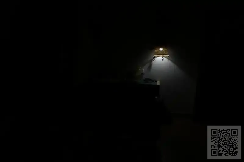 卓頓國際(香港)有限公司