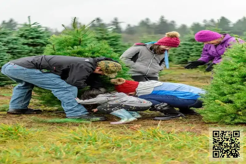 綠景國際(香港)有限公司