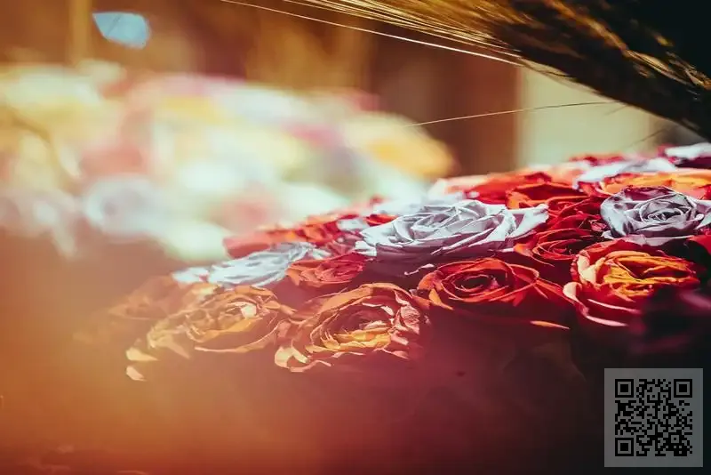 BLOSSOM EDUCATION LIMITED