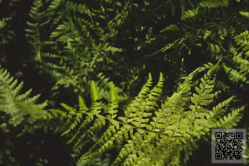 深圳市火炬燈飾有限公司