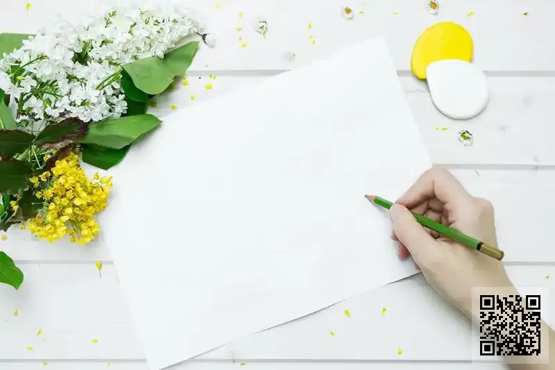 STEG Asia Pacific Investment Co., Limited