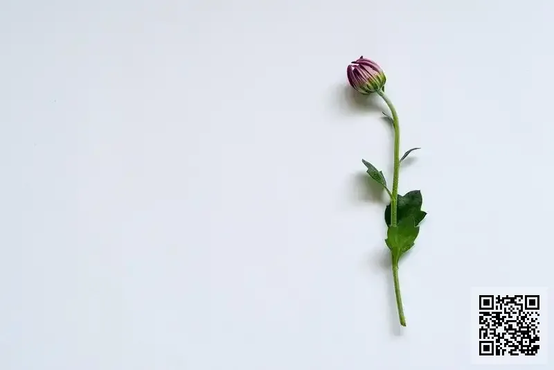 宏利金屬絲網有限公司