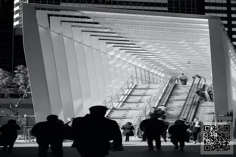 香港舟雪姿(國際)股份有限公司