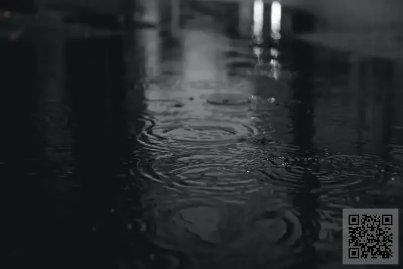 怡良控股有限公司