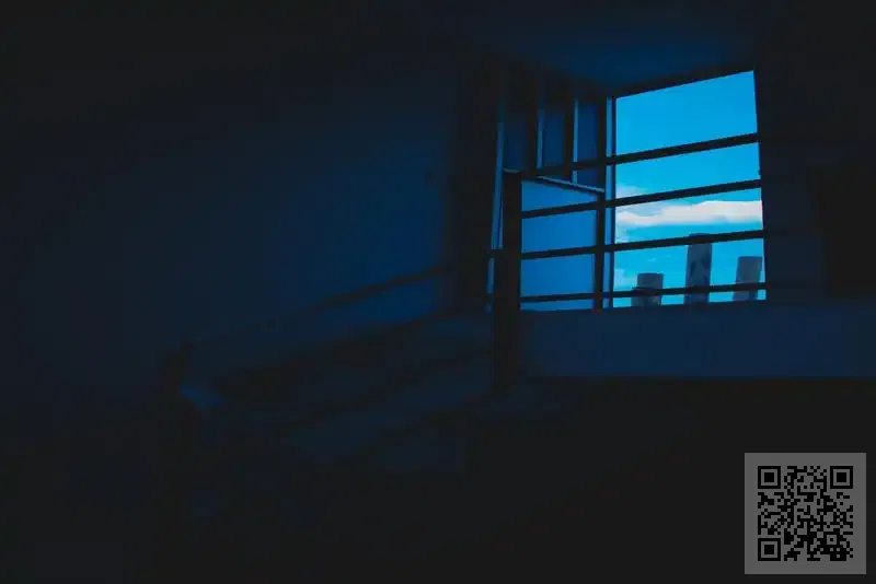 聞道科技有限公司