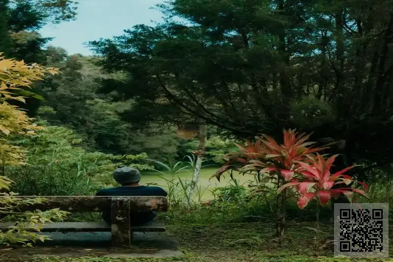 智驅投資有限公司