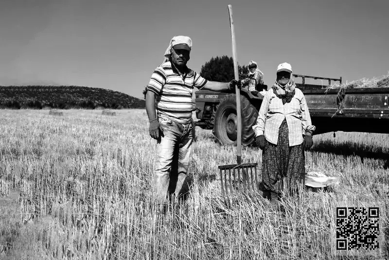 長達船舶管理有限公司