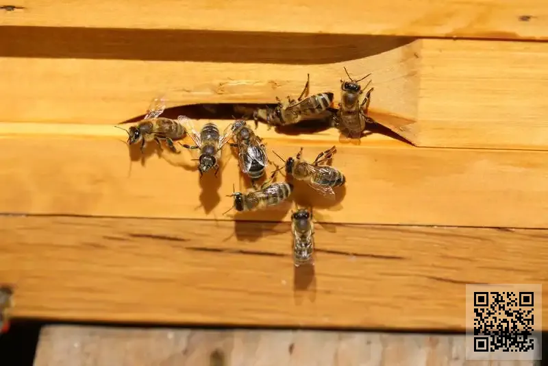 金舵國際商業經營管理有限公司