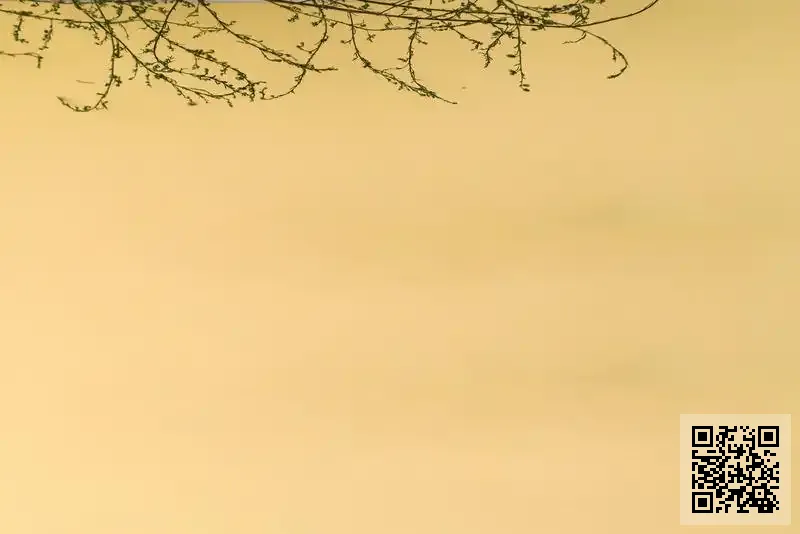 FAME ALLIANCE LIMITED