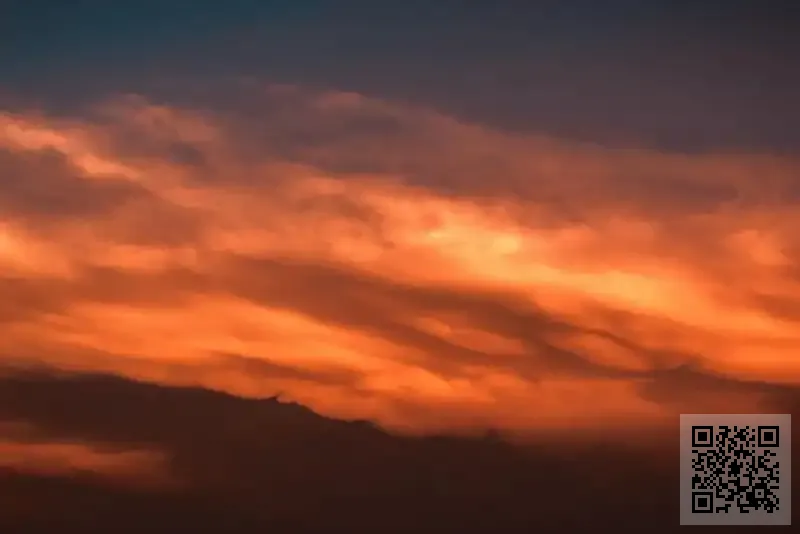 深圳市森派進出口有限公司