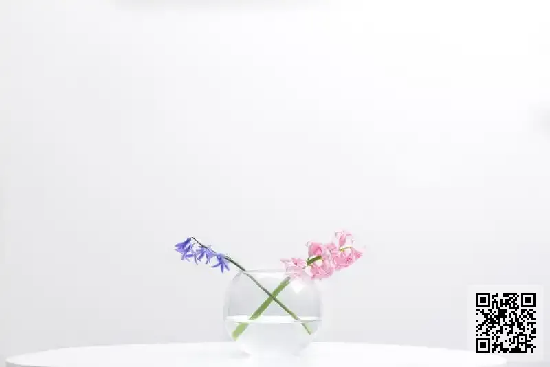 香港阜康貿易有限公司