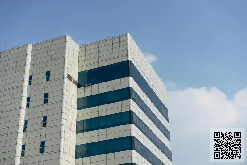 Goofy Company Limited