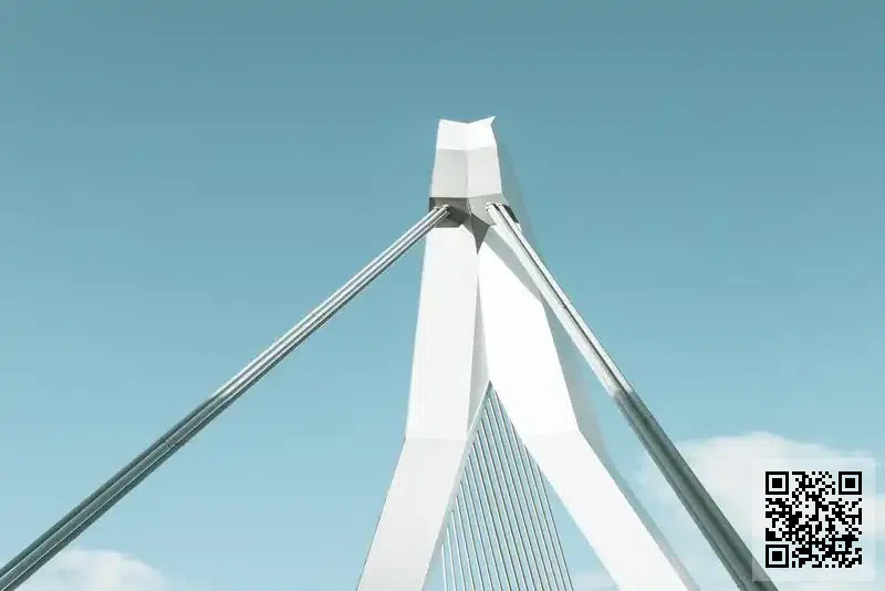 睿智微電子有限公司