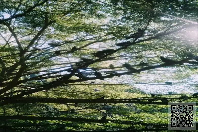 Orient International Supply Limited