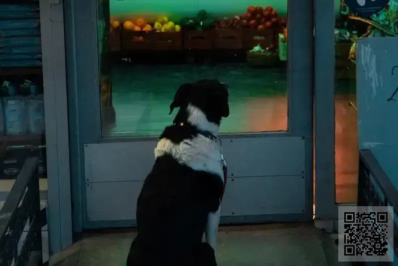 淼森電子有限公司