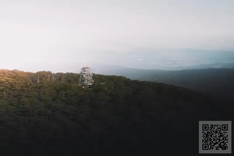 中品國際傳播有限公司