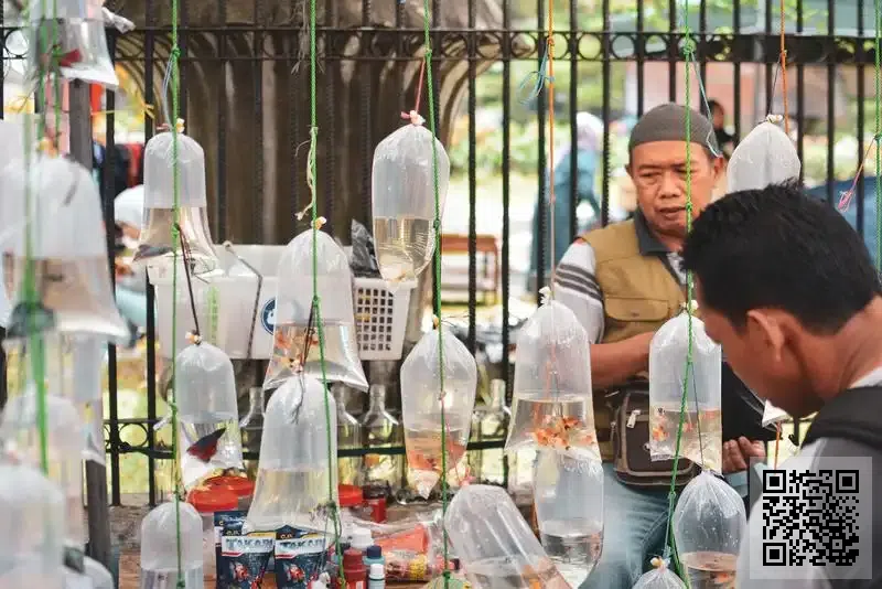 World Water Solutions Limited