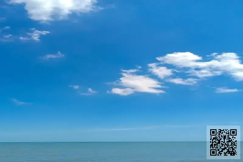 AVINASH TRADING COMPANY (HK) LIMITED