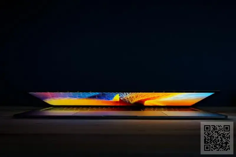 飛洋移民顧問有限公司