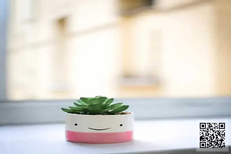 竺權菜業總批發有限公司