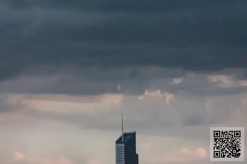 香港悅巢國際集團實業有限公司